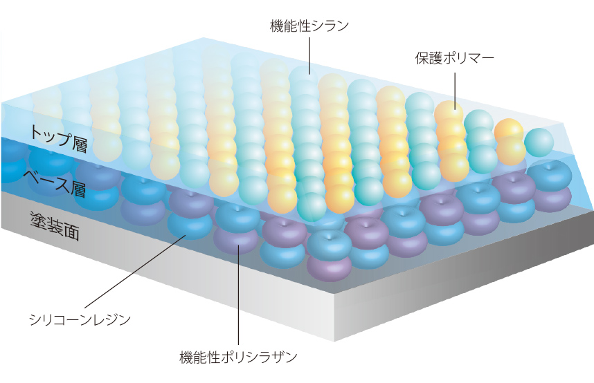 2液2工程の精緻な作業が実現した理想のコーティング被膜。